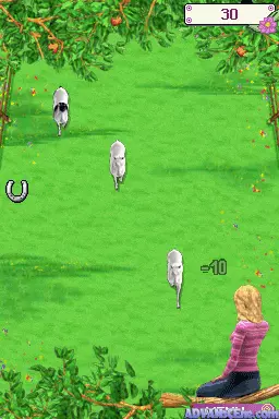 Image n° 3 - screenshots : I Love Horses